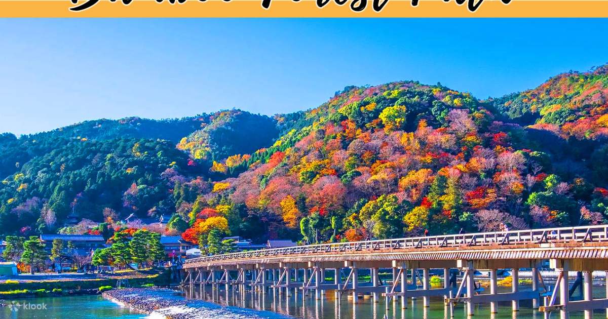 Kyoto, Arashiyama, Nara: Sagano Scenic Railway, Bamboo Forest Path
